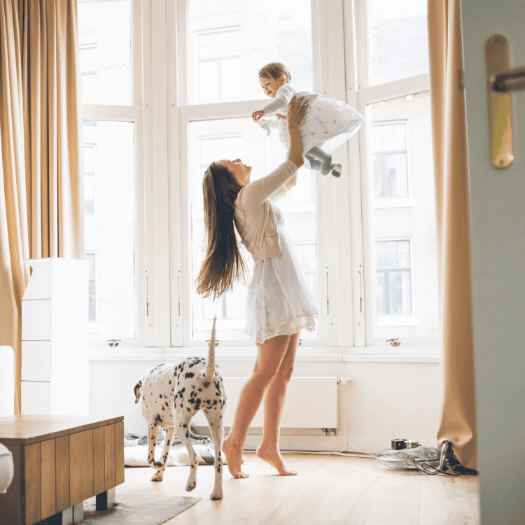 Sonnet has your home covered