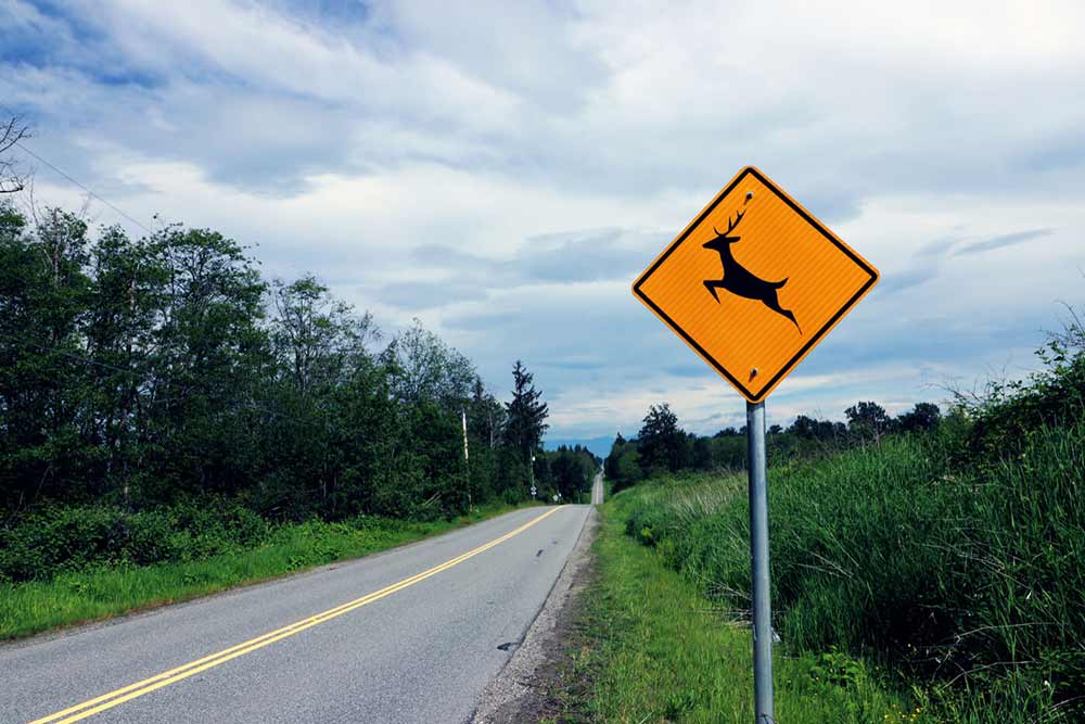 Panneau signalant le passage d'animaux