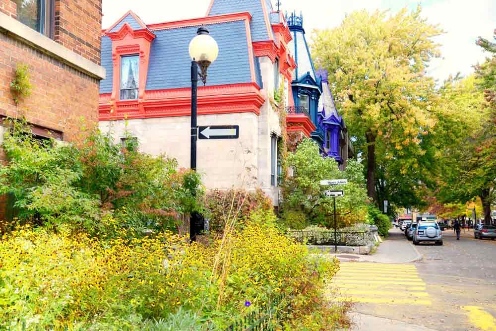 Rue bordée d'arbres au Québec