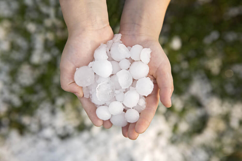 Hands holding hail