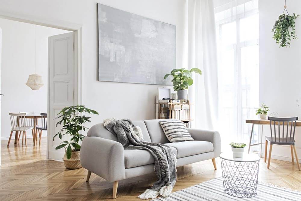 Stylish living room with furniture and plants