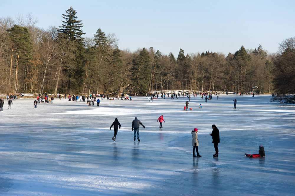 Skating in Ottawa