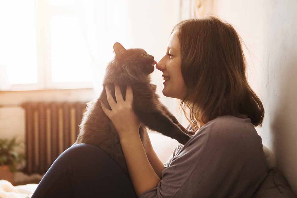 Une femme joue avec un chat