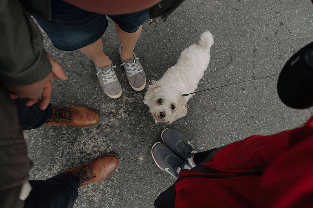 Des gens avec un mignon chiot blanc