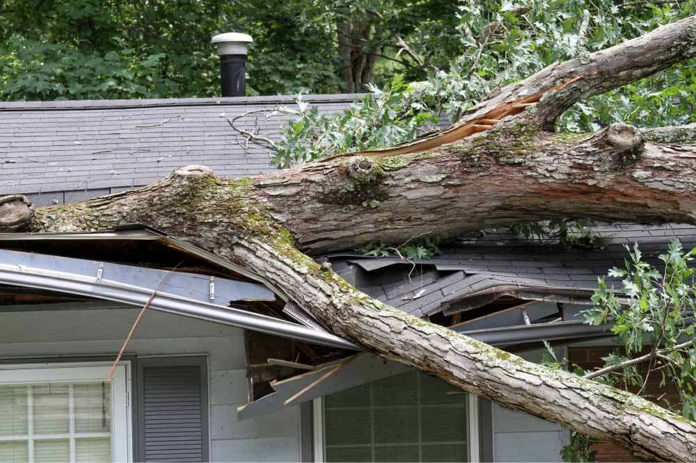Tree fallen on top of a residential home