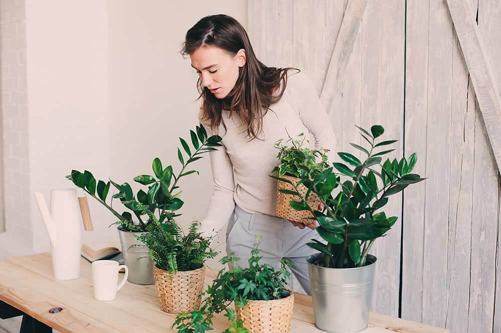 Woman watering houseplants