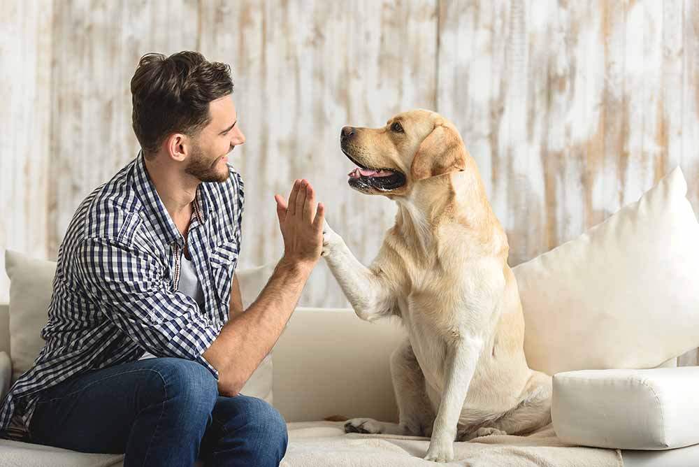 Un homme et un labrador doré