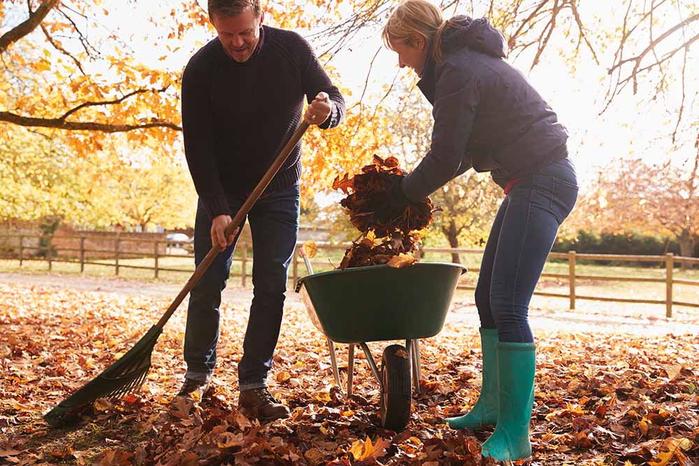 Man and woman raking leaves