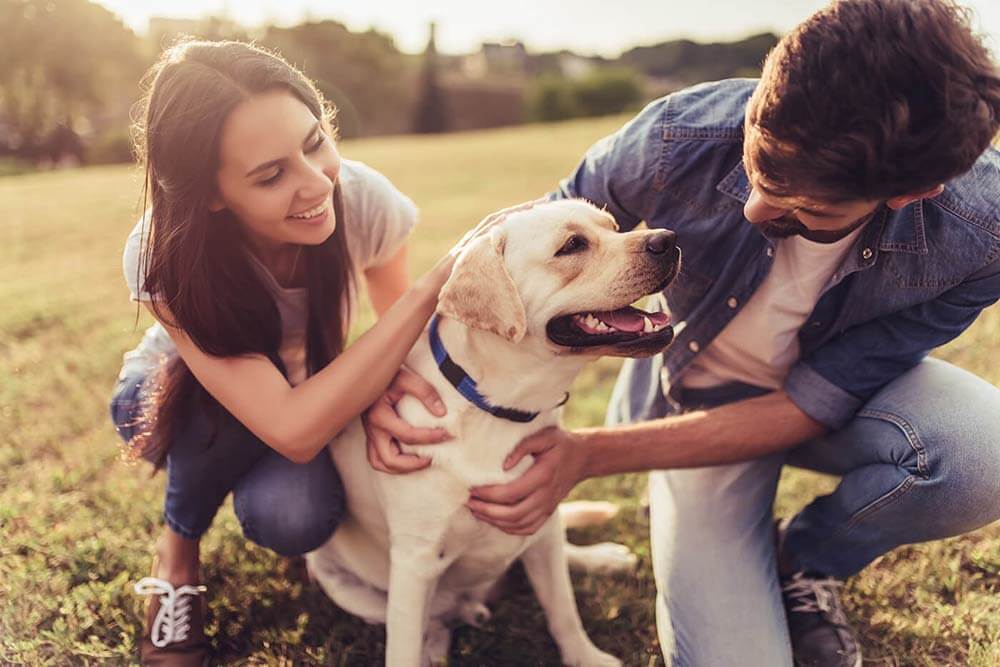 Couple avec un chien