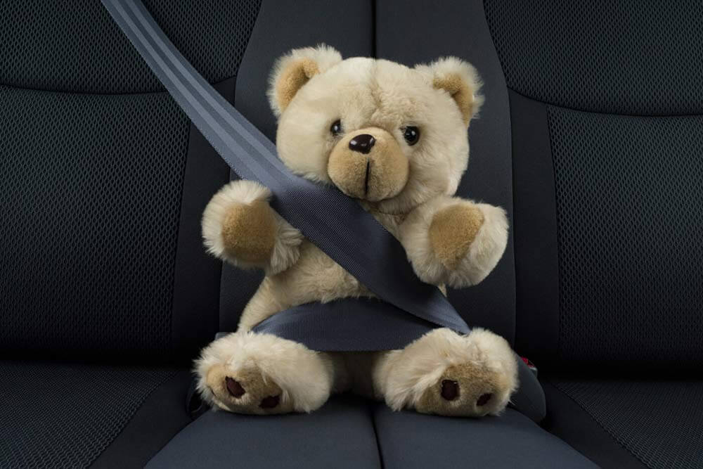 Teddy bear in a seatbelt