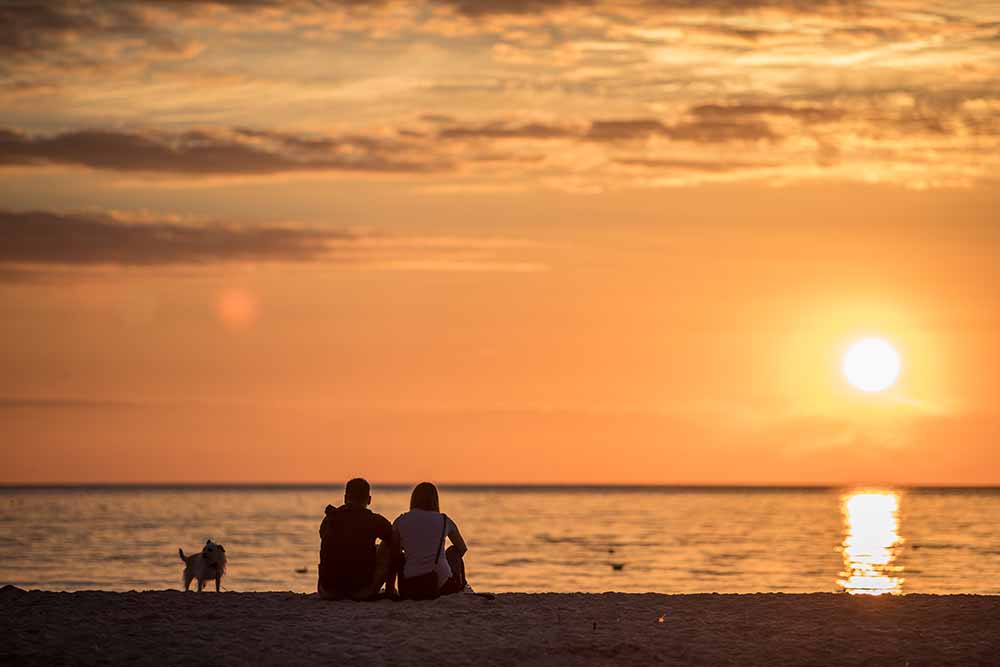 Une couple et leur chien admirent un coucher de soleil