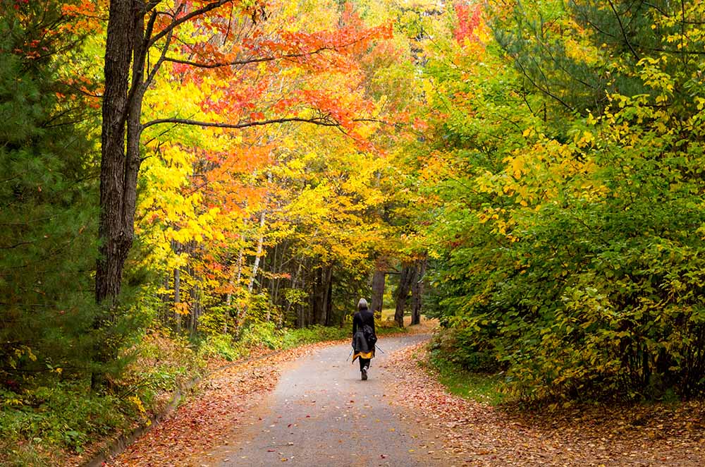 Une femme se promène en forêt en automne