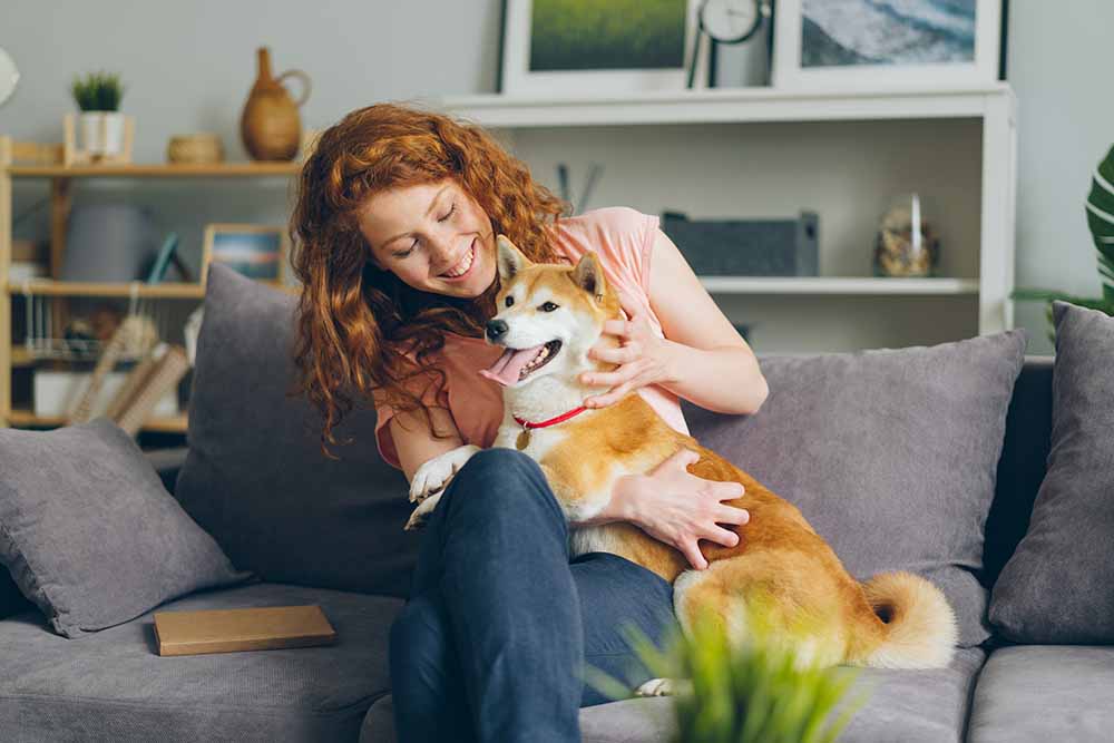 Young woman with a shiba inu in an apartment