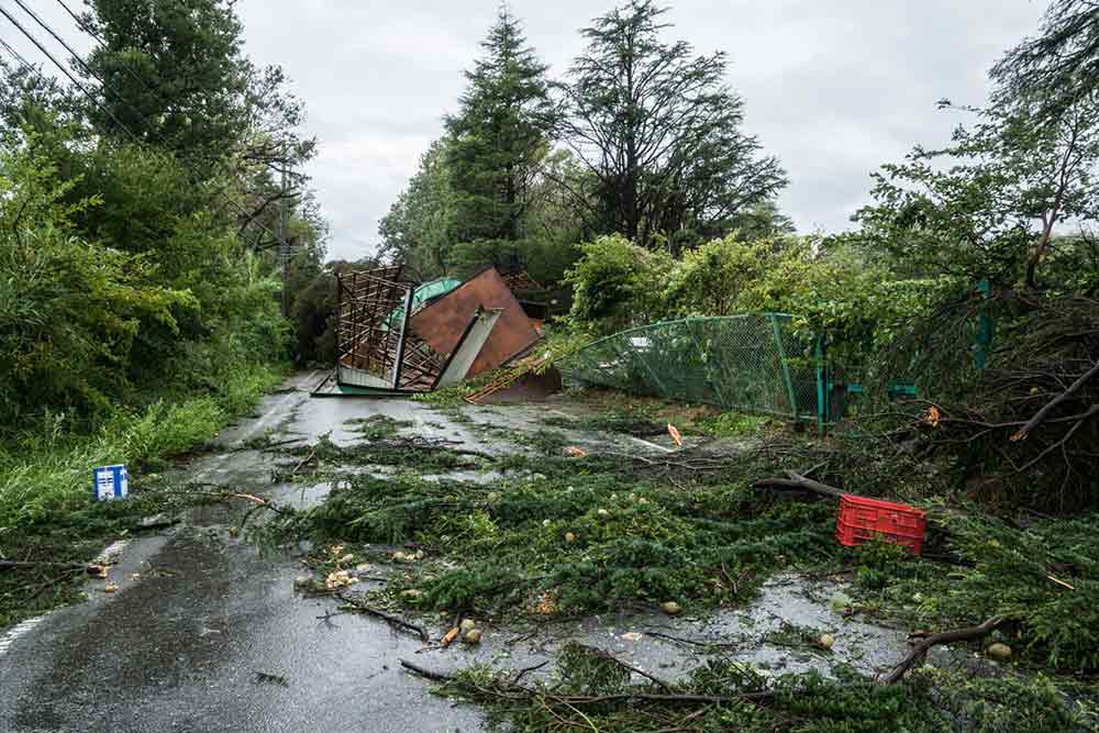 Dommages par une tempête de vent