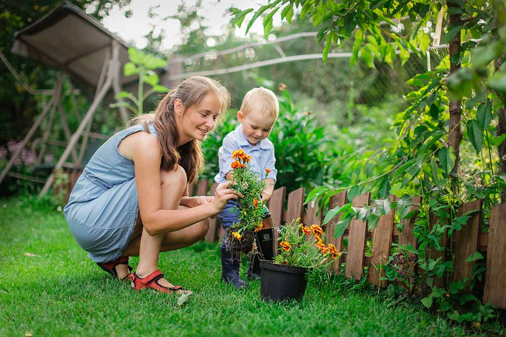 Woman and young child planting flowers