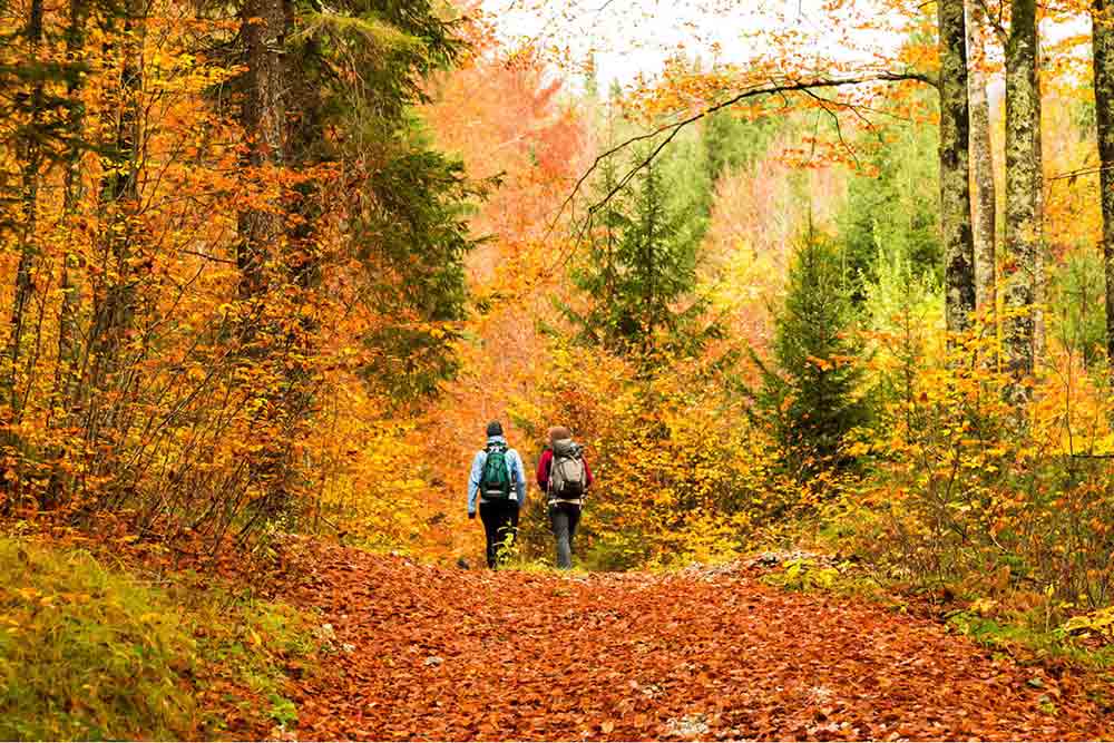 Exploring Ontario fall hiking spots